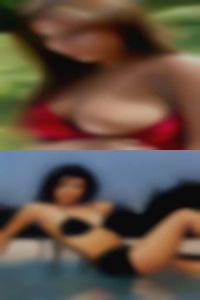 Housewives Punta community swingers Gorda.